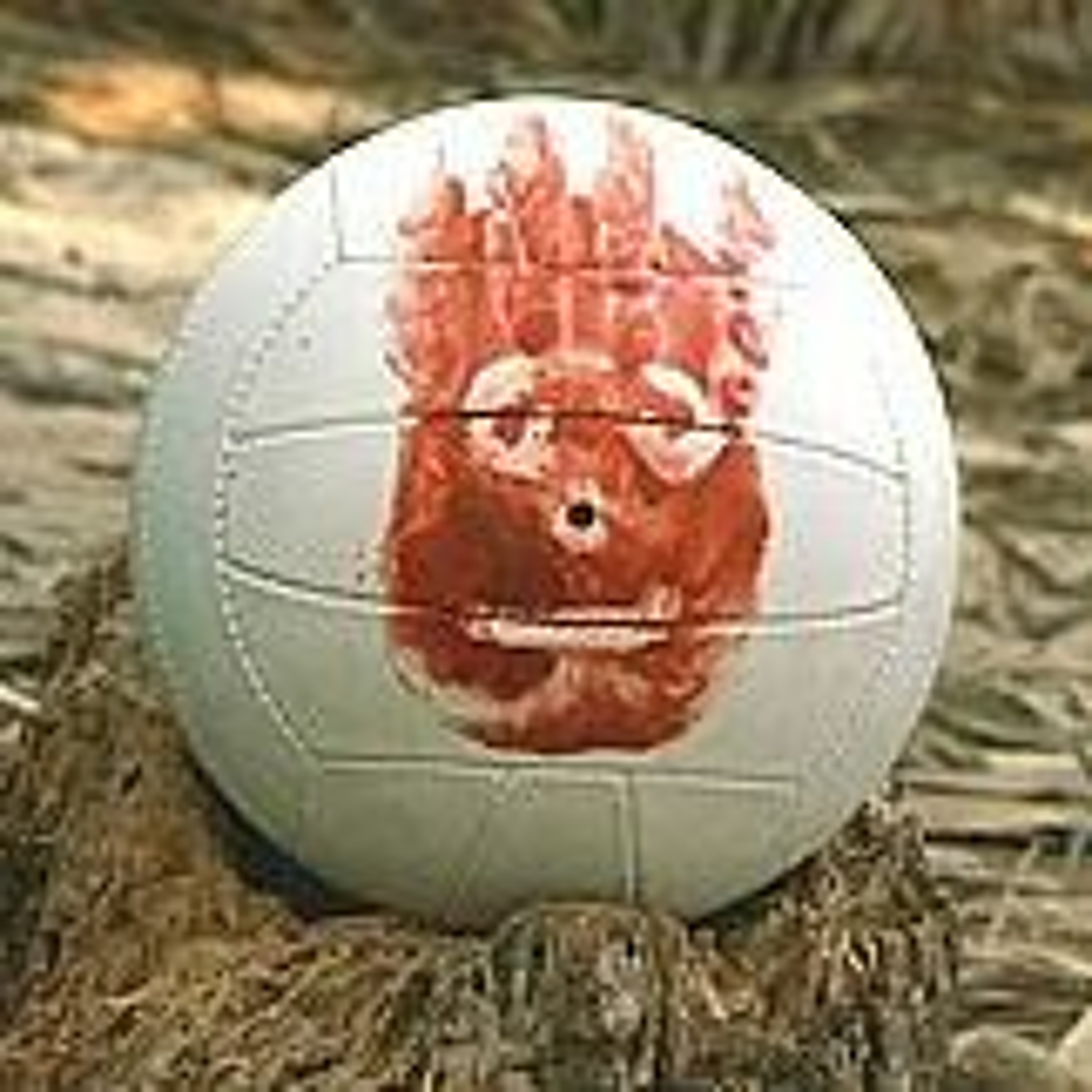 Cast Away episode artwork