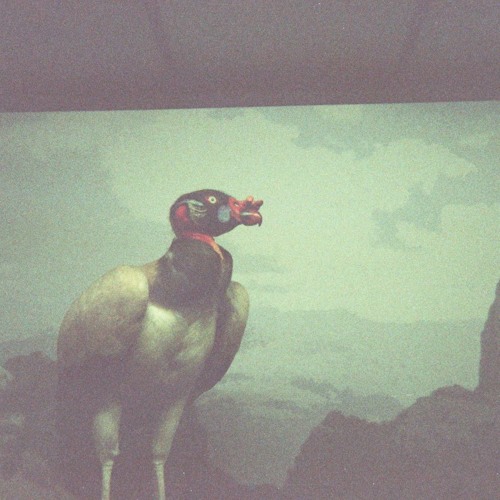 Total Fatal Ego Kanal