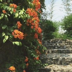 💚❤ الحياة 💚💙