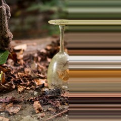 Aflevering 6 / Midzomernacht