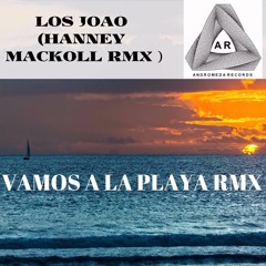 VAMOS A LA PLAYA -LOS JOAO ( HANNEY MACKOLL RMX)