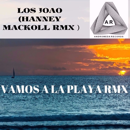 VAMOS A LA PLAYA -LOS JOAO ( HANNEY MACKOLL RMX)
