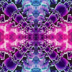 Mungo's Hi - Fi - Rules Of The Dance (Kahn Remix)