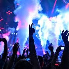 All We Do Is Fucking Party
