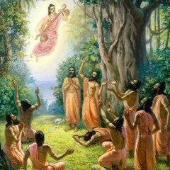 078 Brahmana Gaana Vikruti