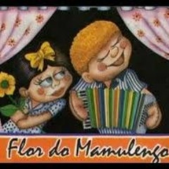 Flor do Mamulengo - Mastruz Com Leite