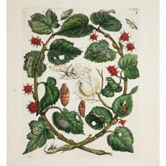 Slow Dakota - Elijah Yoder