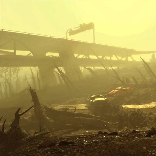 In the Field with Cactus 8/19/17