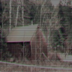STONEDOGG - END OF DAYZ [prod. NINTHFACE]