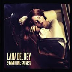 Lana Del Rey - Summertime Sadness (Instrumental).MP3