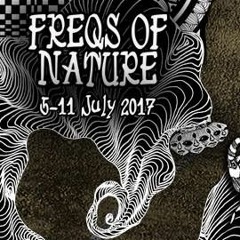 Freqs of Nature 2017 - Ambient Hangar