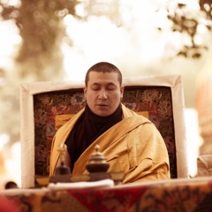 17. Karmapa Thaye Dorje teaching