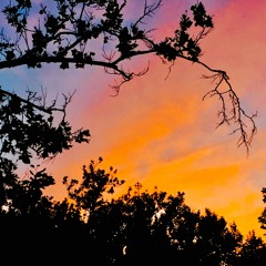 Comfort (prod. by NVSTY BEAST)