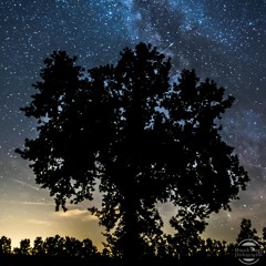 Il était une Nuit...