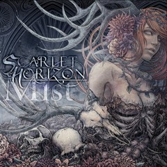 Scarlet Horizon - Mist - XFD