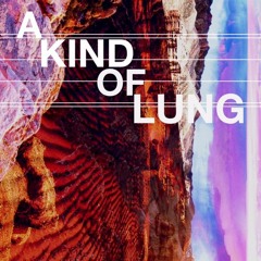 A Kind Of Lung