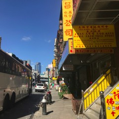 GIRAFFE: Getting There On The Chinatown Bus (2017 Radio Race)