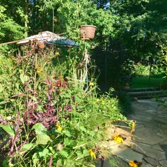 Miss American Life/This Lady is a Stranger to Me (2017 Radio Race)