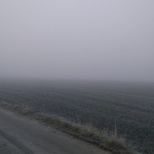 M.Barczyk - honest_lies