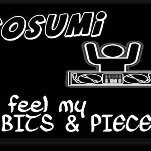 Schleini - Feel My Bits And Pieces (Hardtekk Edition)