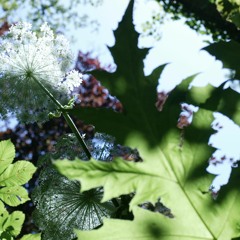 05 - 11 20 - 12 - 01