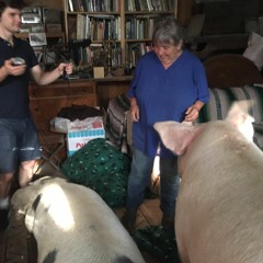 TEAM WAWA: Helga’s Open Door (2017 Radio Race)