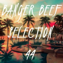 MaximalBeef Selection °44