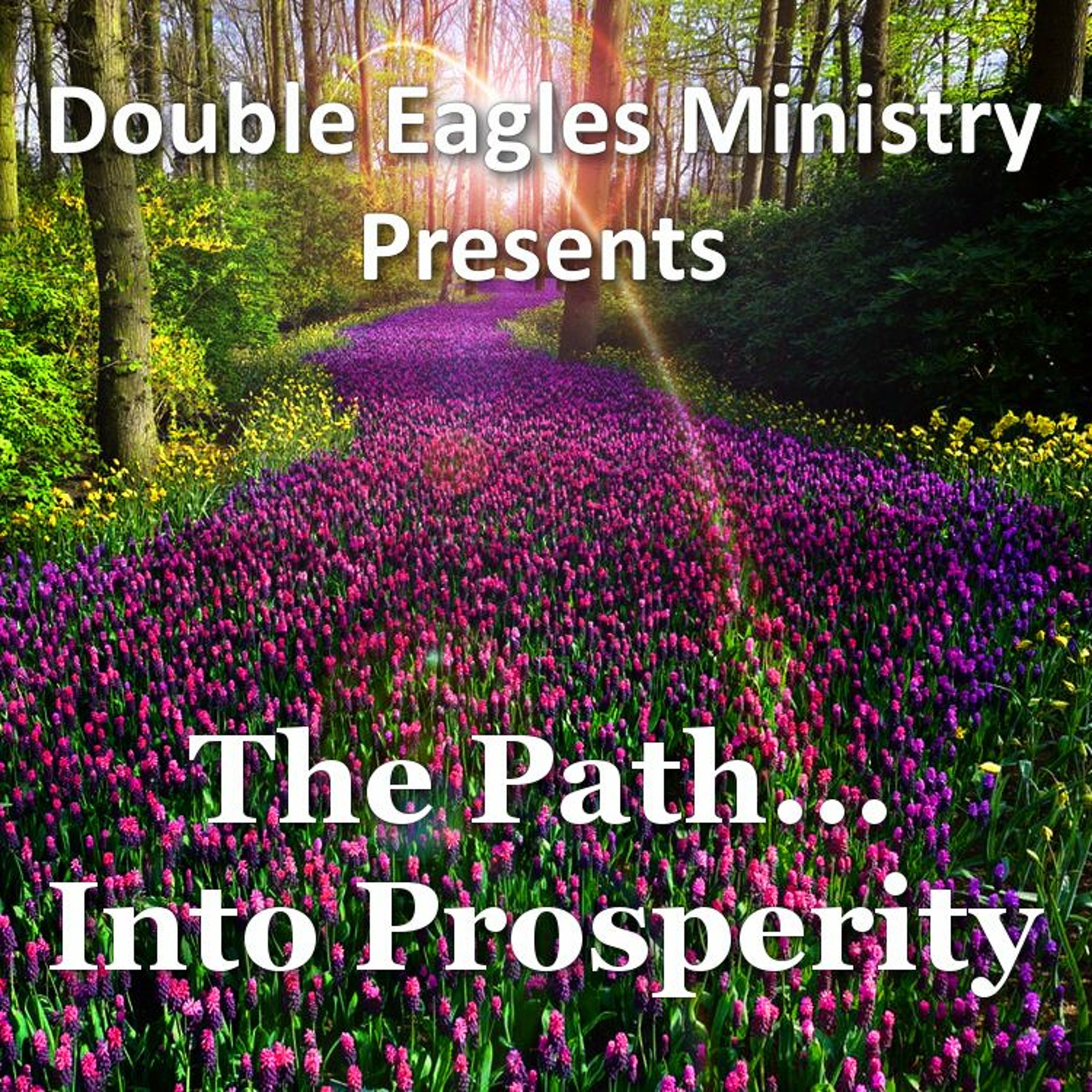The Path Into Prosperity episode artwork