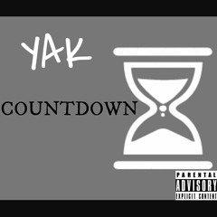 CountDown