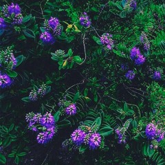 Abrefácil (remix) instr.