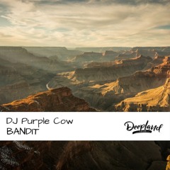 Dj Purple Cow - Bandit (Original Mix)