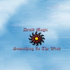 Something In The Wind
