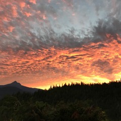 Ketchikan to Wrangell AK