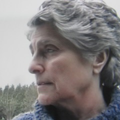 Rio Pajaros Escondidos (the hidden birds's river) 11'07" - 1999/2000-INA GRM commission