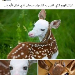 سبحان الله بجد قمه في الرووووعه همسه