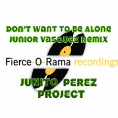 Don't Want To Be Alone (Junior Vasquez Club Remix)