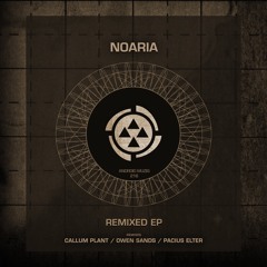 Radio Room (Noaria Dub Mix)