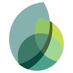 Justice and a Common Future in a Divided World: The 2017 Gonthier Memorial Lecture