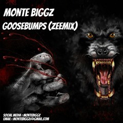 GooseBumps (Zeemix)