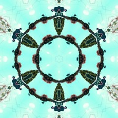 trip