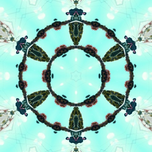 trip