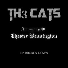 Th3 CATS - I'm Broken Down