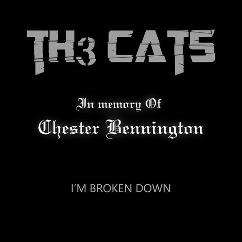 Th3 CATS - I'm Broken Down