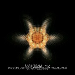Safinteam - In Conjunction (Original Mix)