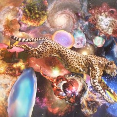 put your hands where my eyes can see '17 (sb X eC)