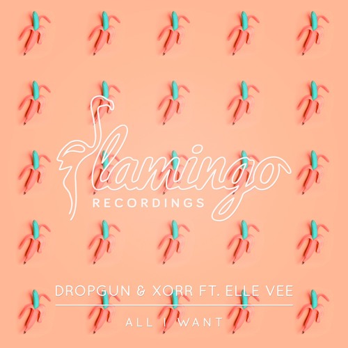 Dropgun & XORR Feat. Elle Vee - All I Want