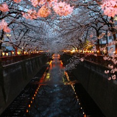 matsumoto.