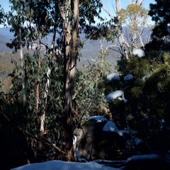 Corin Forrest - Part 1 - 20th of August 2017