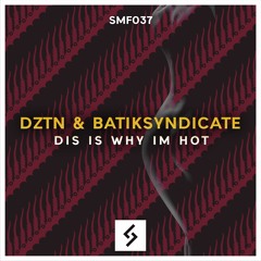 DZTN & BatikSyndicate - Dis Iz Why Im Hot [SMF037]