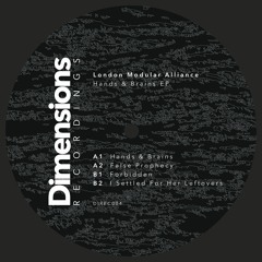 DIREC004 - London Modular Alliance - Hands & Brains EP